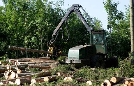 Zkrachovalý Less & Forest chce po státních Lesích R více ne 6 miliard korun.