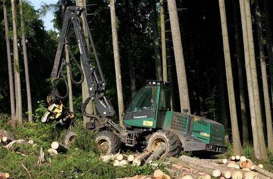 V krkonoských lesích se musí tit i v letní turistické sezon, protoe jsou dlouho pod snhem. Ilustraní foto