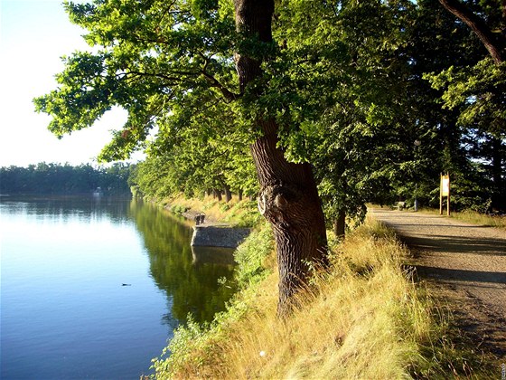 Jiní echy na kole