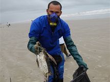 Moe vyplavilo na brazilsk ple stovky mrtvch tuk (20. ervence 2010)
