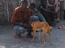 Vakcinace ps v msteku Loiyangalani