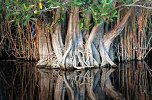 Národní park Everglades, Florida