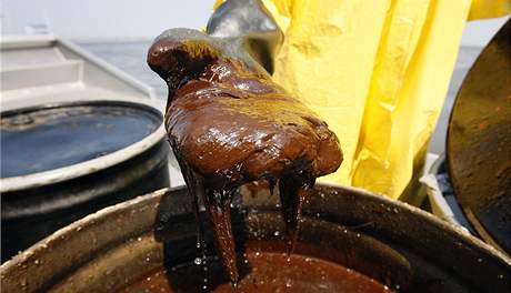 istii sbírají ropu v Mexickém zálivu. Zdejí únik se stal druhou nejvtí ropnou katastrofou v djinách.