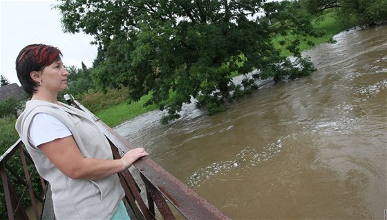 eka Sázava v Okrouhlicích na Havlíkobrodsku (7. srpen 2010)