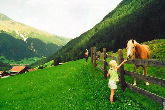 Kontakt se zvíaty je tu na kadém kroku. Kon a krávy sice psobí, e jsou v ohrad, spásají ale trávu podél turistické cesty a ohrada je oddluje od louky k sekání trávy.