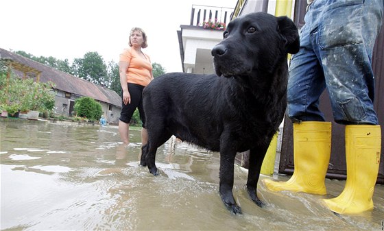 V dob, kdy je vyhláen stav nebezpeí, je evakuace povinná. Ilustraní foto.