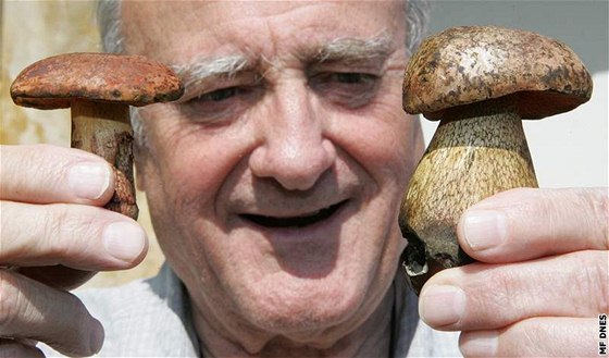 Mykolog Alois Vágner ukazuje hib kolodj a hib Qulétv, který mu donesl do poradny houba.