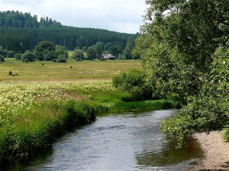 Tepl Vltava pod Soumarskm mostem