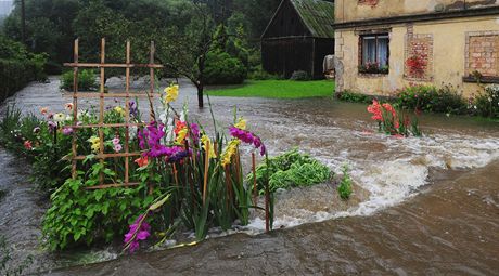 V Srbsk Kamenici na Dnsku se vylila z beh eka Kamenice.