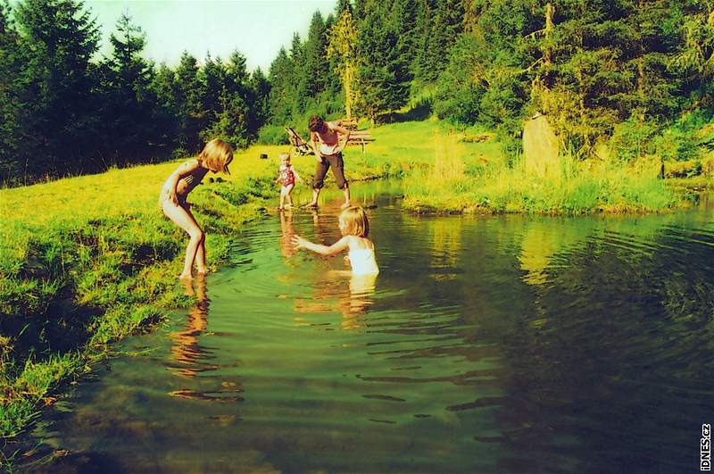 Kontakt se zvíaty je tu na kadém kroku. Kon a krávy sice psobí, e jsou v ohrad, spásají ale trávu podél turistické cesty a ohrada je oddluje od louky k sekání trávy.