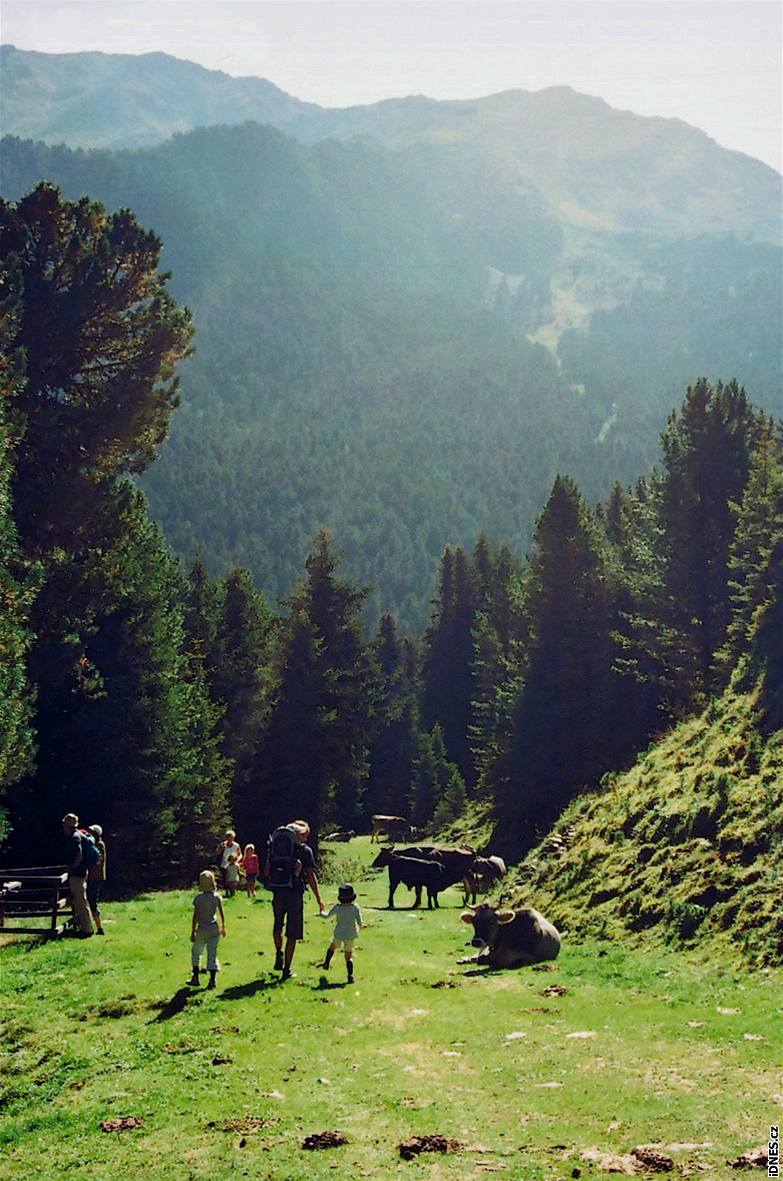 Kontakt se zvíaty je tu na kadém kroku. Kon a krávy sice psobí, e jsou v ohrad, spásají ale trávu podél turistické cesty a ohrada je oddluje od louky k sekání trávy.