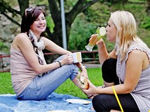 Na piknik jsou ideln lehce staviteln jdla, kter chutnaj i studen.
