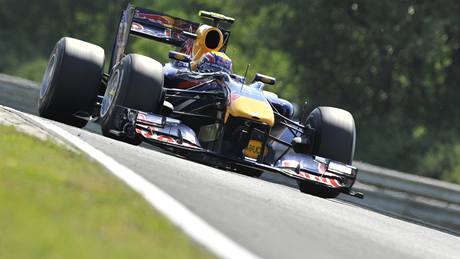 Mark Webber z Red Bullu