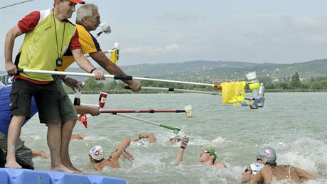 Dálkoví plavci se oberstvují bhem závodu mistrovství Evropy.