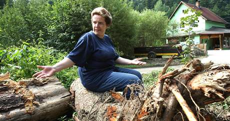 Michaela Nováková ukazuje vyplavené zbytky strom, kvli kterým ji letos potok zatopil u podruhé.