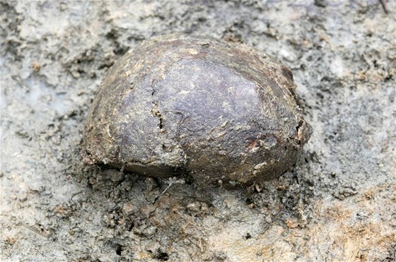 U Dobronína na Jihlavsku nalezli archeologové pozstatky esti lidí, má se jednat o Nmce zavradné po druhé svtové válce