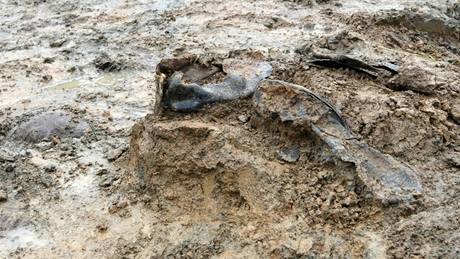 Brnntí antropologové skonili se zkoumáním kostí nalezených v hrob na louce Budínka u Dobronína na Jihlavsku.