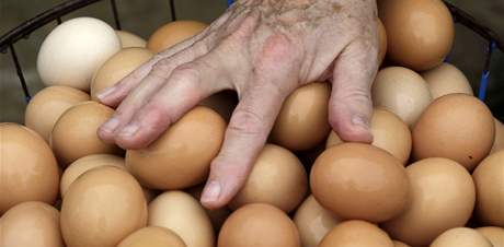 Sháku po vejcích ale nezaznamenali pratí trhovci, kteí vtinou drí ceny za vejce stále kolem esti korun.(Ilustraní foto)