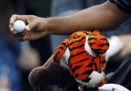 TIGER NA KONCI. Loni Tiger Woods FedEx Cup vyhrál, Letos do jeho play-off vstupuje a ze 112. msta a i proto si bude muset pivstat, jeliko na hit vyrazí v prvním ranním flightu.