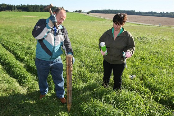 Pachové ohradníky, které chrání idie i zv, lemují na Vysoin u padesát kilometr silnic