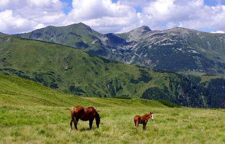 Rumunsko. Karpatsk idyla na Rodn, v pozad nejvy vrch Pietroul (2303 m)