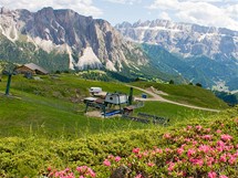 Rov kvty pninku pipomnaj nae oblben azalky. V Dolomitech jsou zrove jakmsi indiktorem kyselosti pdy. Zatmco pnink srstnat roste na vpenci, pnink rezav mete potkat na kyselch pdch