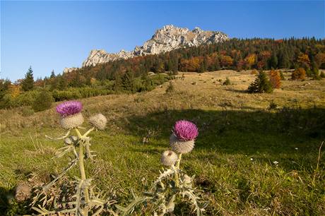 Mal Fatra: louky pod Rozsutcem