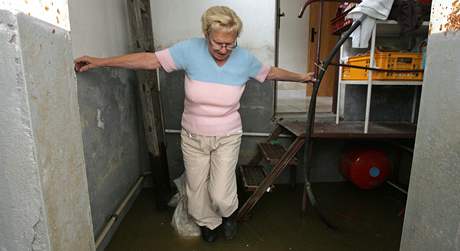 Libue Martnkov v zatopenm sklep svho domu v Petrovicch u Karvin.