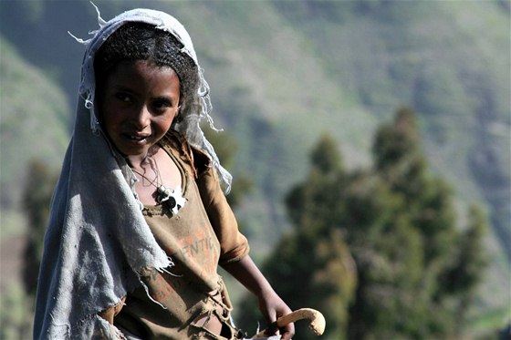 Vtina obtí podle jemenských úad pocházela z Etiopie a Somálska.