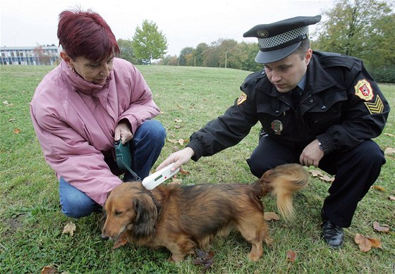 V nkterých mstech policisté dokonce kontrolují, zda psi povinné ipy mají. Ilustraní snímek