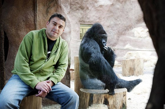 Marek ánský v pavilonu goril praské zoo. Za sklem Richard