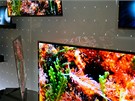 LG OLED