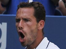 Michael Llodra