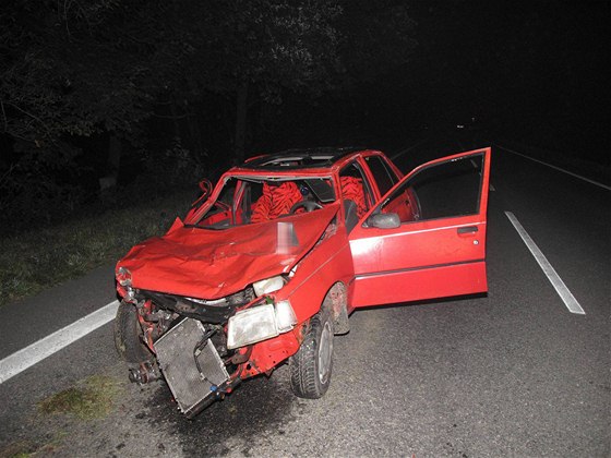 Peugeot smetl ze silnice ti chodce. Nehodu nepeil jeden z nich. Pi pevozu do nemocnice zemel i idi vozu. 