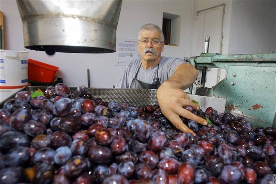 Pálenice ve Zlínském kraji letos zaily patnu sezonu. Ilustraní foto