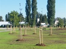 Nov park Za plotem v Uherskm Hraditi.