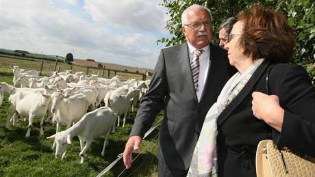 Prezidentský pár navtívil pi svém tídenním pobytu na Vysoin i kozí farmu v Ratiboicích na Tebísku