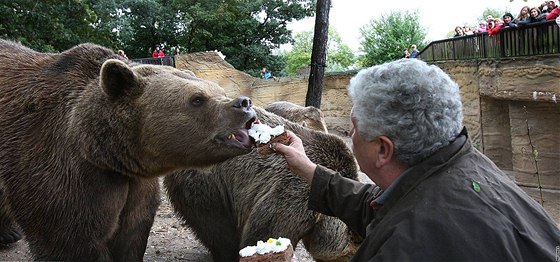 Filma Václav Chaloupek krmí na svátek sv. Václava pamlsky "své" veerníkové  medvdy v plzeské zoo a symbolicky je tak ukládá k zimnímu spánku 