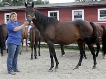 Den otevench dve v hebinci Napajedla (zootechnika Kateina Sedlkov)