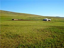 Mongolsk travnat step.