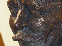 Bronzov busta libereckho rodka Vlasty Buriana na libereck radnici.