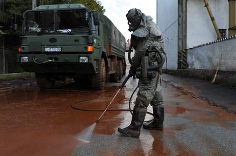 Maarsk vojk ist ulice Devecsru od toxickho kalu (5. jna 2010)