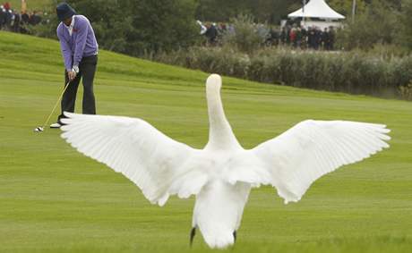 Ryder Cup 2010 - Bubba Watson.