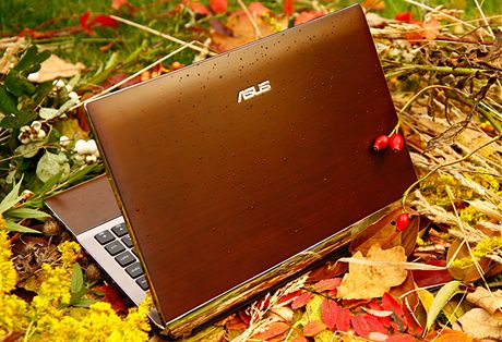 Asus U33J Bamboo Series