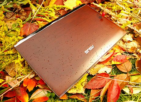 Asus U33J Bamboo Series