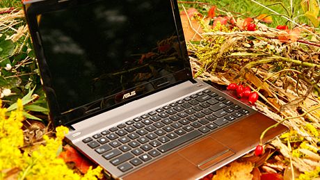 Asus U33J Bamboo Series