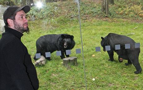 Medvdi uat maj v ostravsk zoo nov vbh.