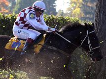 Josef Va s Tiumenem ske pes jednu z pekek na Velk pardubick