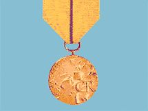 Medaile za zsluhy
