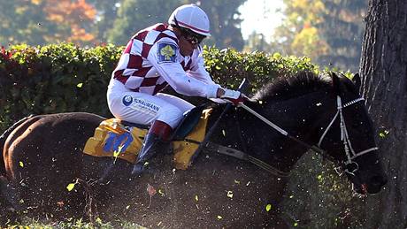 Josef Váa s Tiumenem skáe pes jednu z pekáek na Velké pardubické